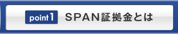 SPAN証拠金とは